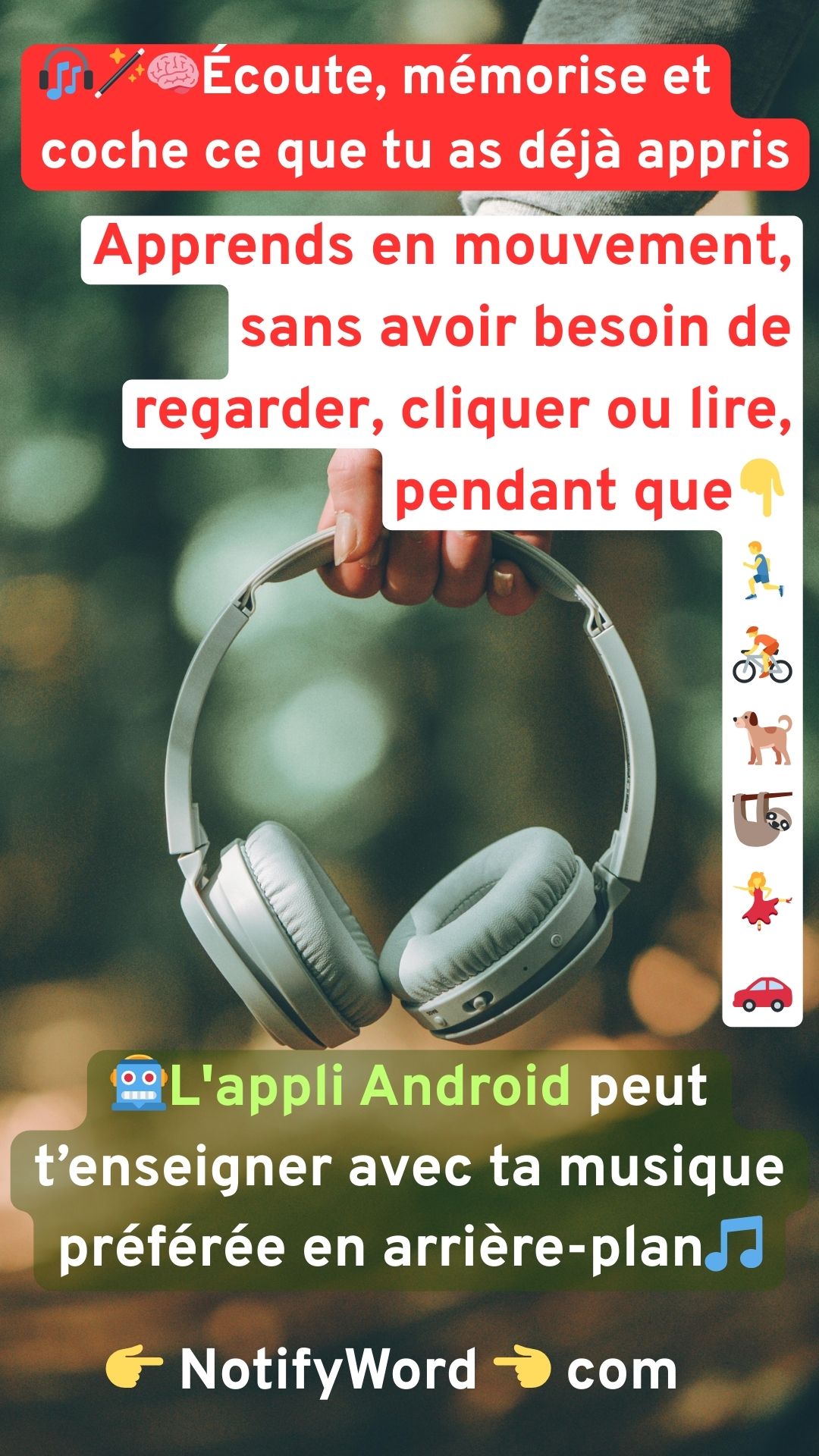 Application de fiches pour apprendre de différentes manières